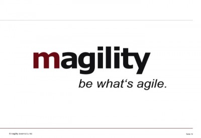 magility Trendstudie E/E Automotive 2014