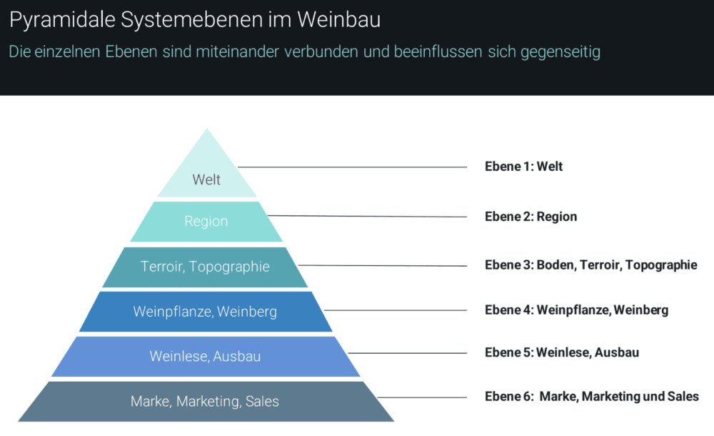 SystemEnergiewende im Weinbau 