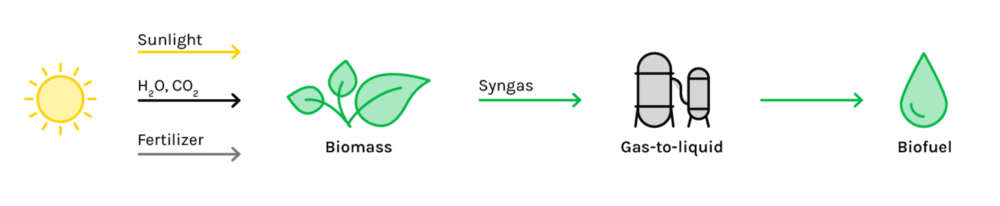 Biomass-to-Liquid produces biofuels